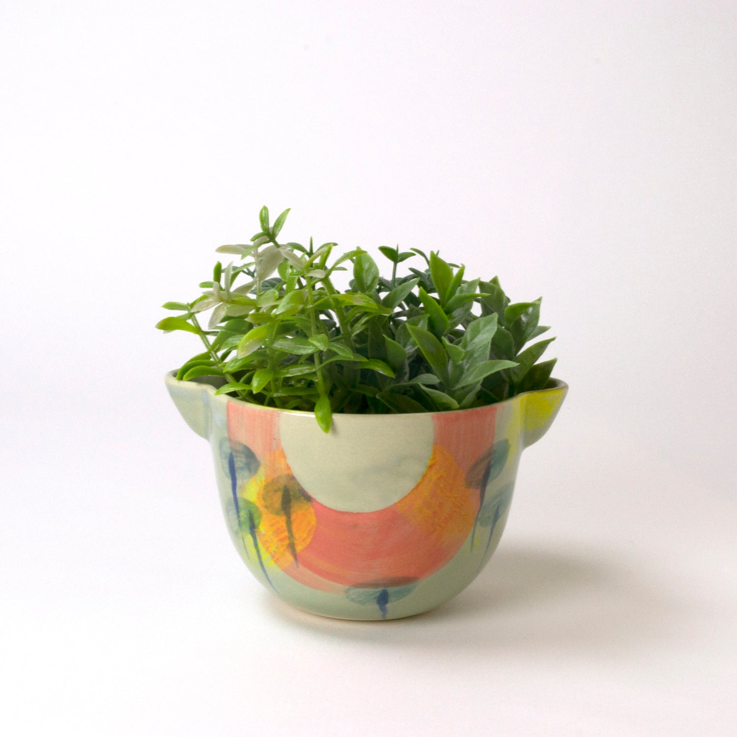 cache-pot vert nénuphars en ceramique fait main